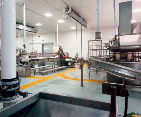 Processing area at Fresh Express vegetable processing plant
