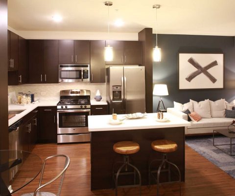 Kitchen and living area in a Tapestry Glenview unit